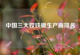 中國三大釹鐵硼生產商排名