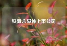 鐵氮永磁體上市公司