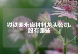 釹鐵硼永磁材料龍頭公司a股有哪些