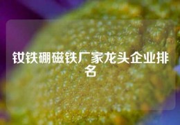 釹鐵硼磁鐵廠家龍頭企業排名