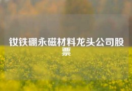 釹鐵硼永磁材料龍頭公司股票