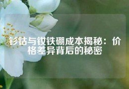 釤鈷與釹鐵硼成本揭秘：價(jià)格差異背后的秘密