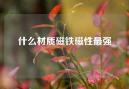 什么材質(zhì)磁鐵磁性最強(qiáng)