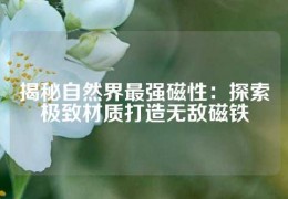 揭秘自然界最強磁性：探索極致材質打造無敵磁鐵