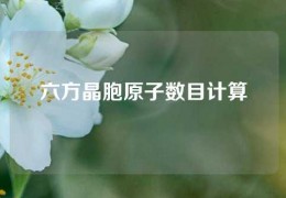 六方晶胞原子數(shù)目計(jì)算