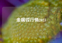 金屬釹行情2023