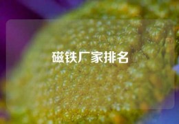 磁鐵廠家排名