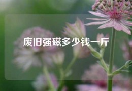 廢舊強磁多少錢一斤