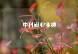 中科磁業業績