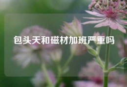 包頭天和磁材加班嚴(yán)重嗎