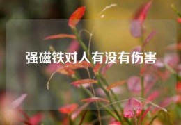 強(qiáng)磁鐵對(duì)人有沒有傷害