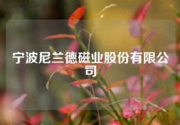 寧波尼蘭德磁業股份有限公司