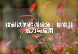 釹磁鐵的超強(qiáng)磁場(chǎng)：探索其威力與應(yīng)用