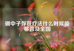 硼中子俘獲療法什么時候能夠普及全國