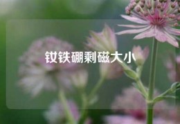 釹鐵硼剩磁大小