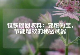 釹鐵硼回收料：變廢為寶，節能增效的秘密武器