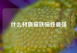 什么材質(zhì)磁鐵磁性最強