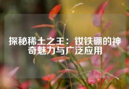 探秘稀土之王：釹鐵硼的神奇魅力與廣泛應用