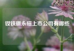 釹鐵硼永磁上市公司有哪些