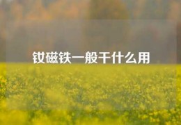 釹磁鐵一般干什么用