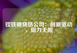 釹鐵硼燒結公司：創新驅動，磁力無限