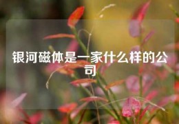 銀河磁體是一家什么樣的公司