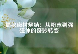 揭秘磁材燒結：從粉末到強磁體的奇妙轉變