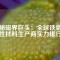 揭秘磁界巨頭：全球鐵氧體磁性材料生產商實力排行榜