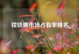 釹鐵硼市場占有率排名