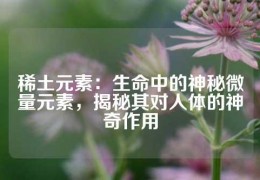 稀土元素：生命中的神秘微量元素，揭秘其對人體的神奇作用