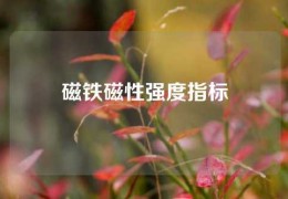 磁鐵磁性強(qiáng)度指標(biāo)