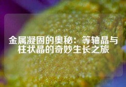 金屬凝固的奧秘：等軸晶與柱狀晶的奇妙生長之旅