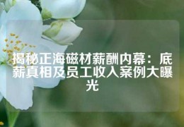 揭秘正海磁材薪酬內(nèi)幕：底薪真相及員工收入案例大曝光