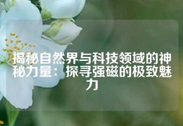 揭秘自然界與科技領(lǐng)域的神秘力量：探尋強(qiáng)磁的極致魅力