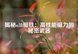 揭秘n38磁鐵：高性能磁力的秘密武器