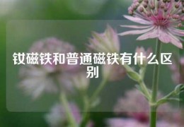 釹磁鐵和普通磁鐵有什么區(qū)別