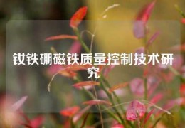 釹鐵硼磁鐵質(zhì)量控制技術(shù)研究