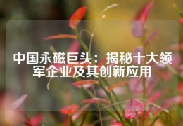 中國永磁巨頭：揭秘十大領(lǐng)軍企業(yè)及其創(chuàng)新應(yīng)用