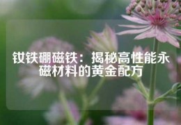 釹鐵硼磁鐵：揭秘高性能永磁材料的黃金配方