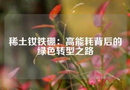 稀土釹鐵硼：高能耗背后的綠色轉(zhuǎn)型之路