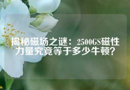 揭秘磁場(chǎng)之謎：2500GS磁性力量究竟等于多少牛頓？