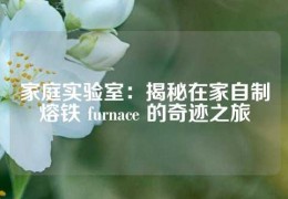 家庭實驗室：揭秘在家自制熔鐵 furnace 的奇跡之旅