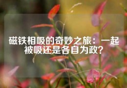 磁鐵相吸的奇妙之旅：一起被吸還是各自為政？