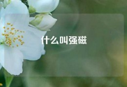 什么叫強(qiáng)磁