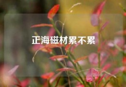 正海磁材累不累