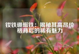 釹鐵硼磁鐵：揭秘其高昂價格背后的稀有魅力