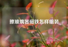 擦玻璃器磁鐵怎樣組裝