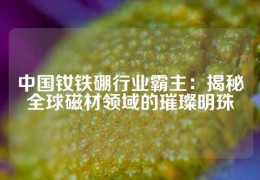 中國釹鐵硼行業霸主：揭秘全球磁材領域的璀璨明珠