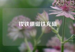 釹鐵硼磁鐵充磁