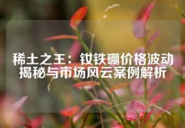 稀土之王：釹鐵硼價格波動揭秘與市場風云案例解析